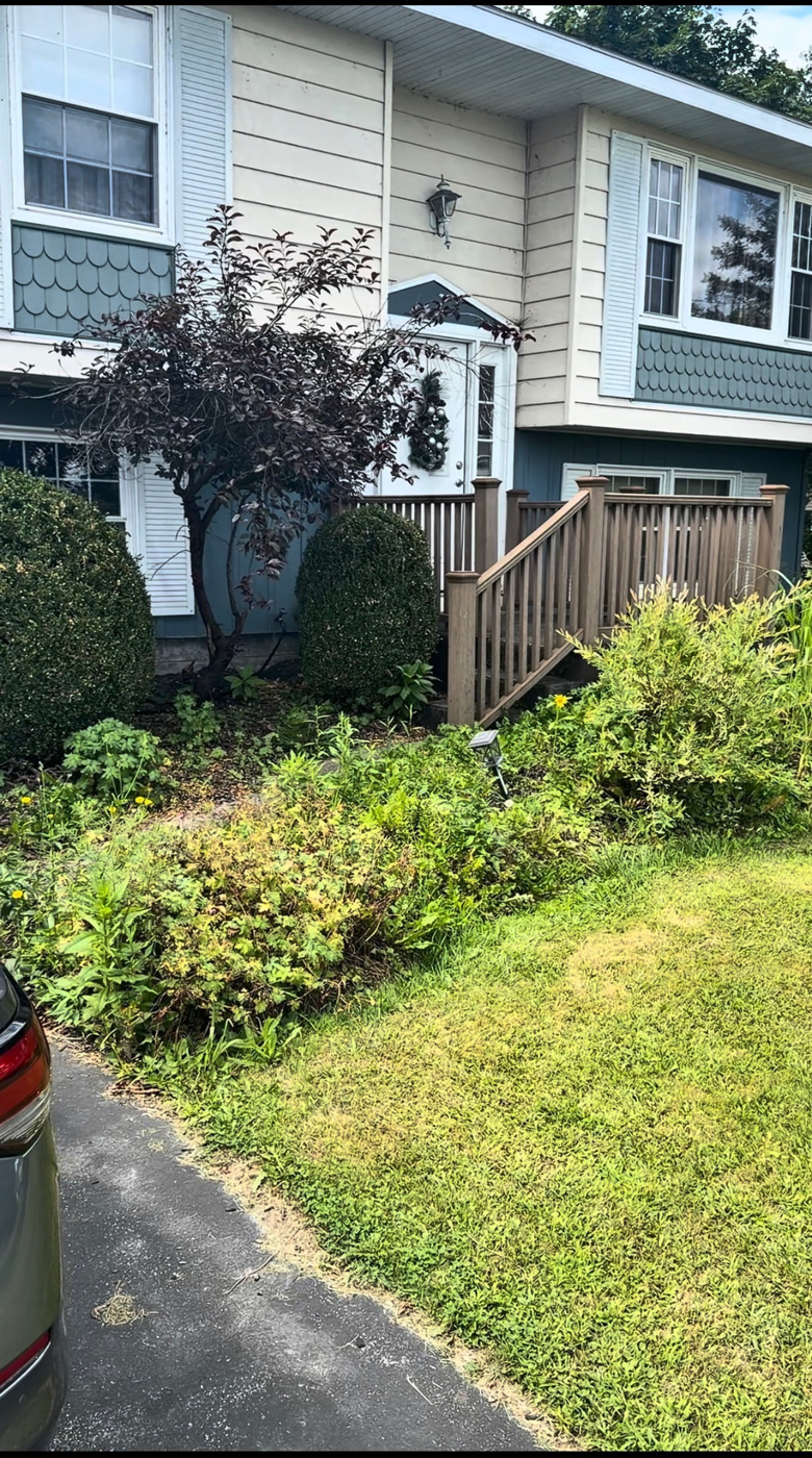 Front yard landscaping bed cleanup in Central New York — before