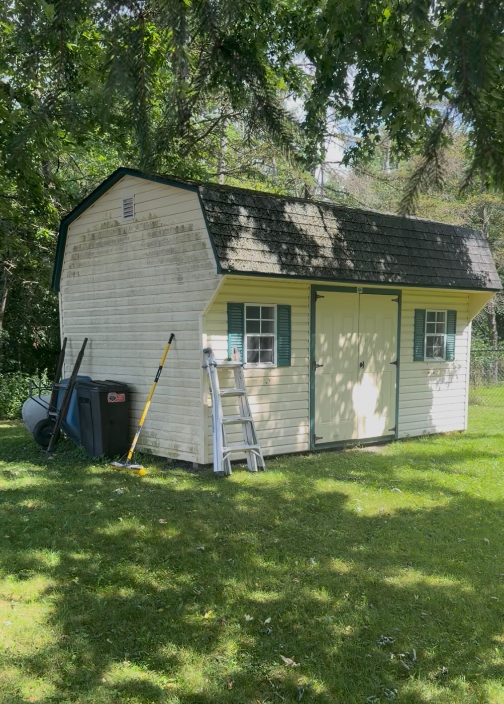 Algae-covered shed siding and roof soft washed clean — before